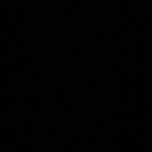 Meet your Posher, Shamara